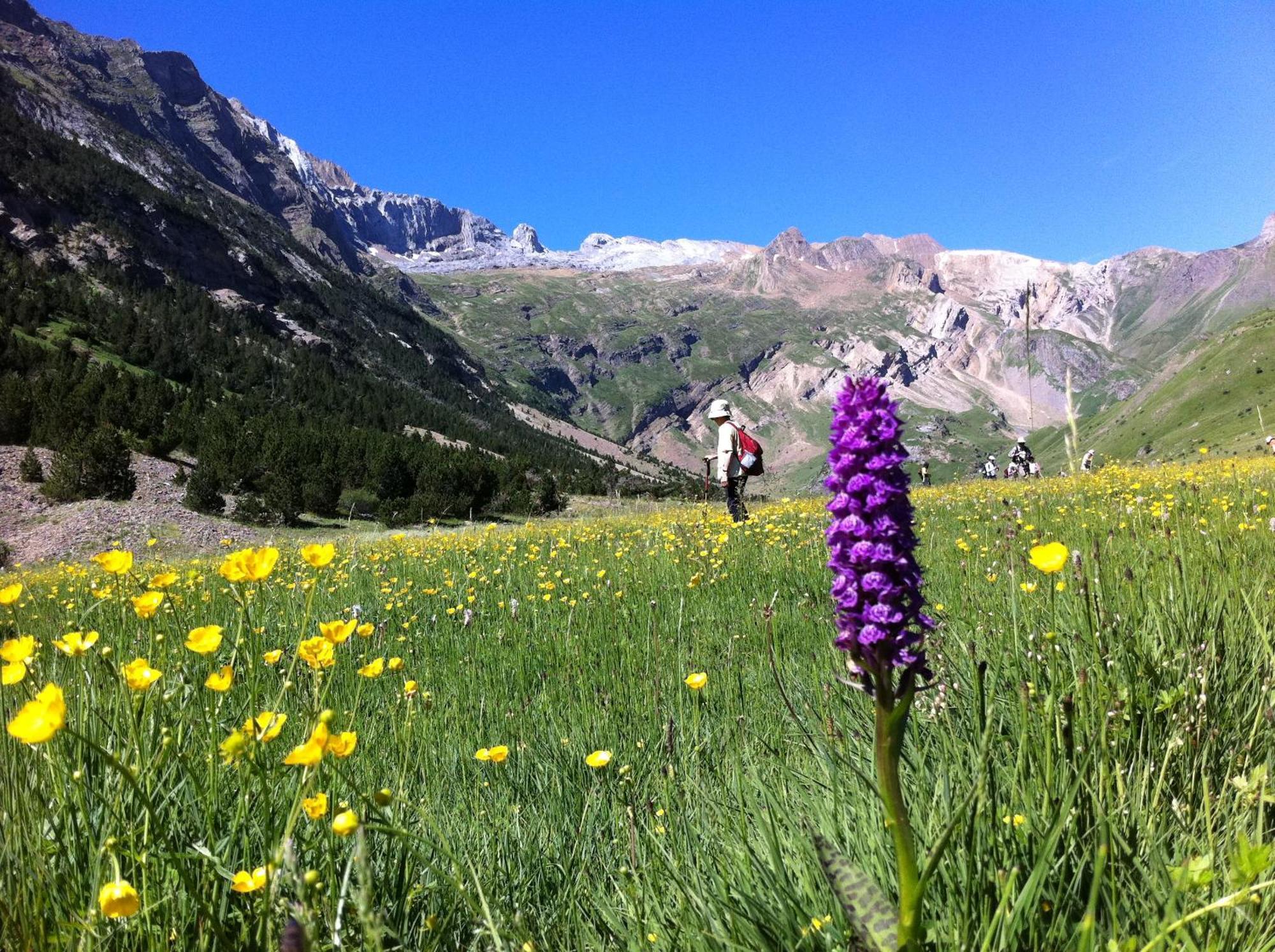 Hostel-Albergue Monte Perdido Torla Kültér fotó